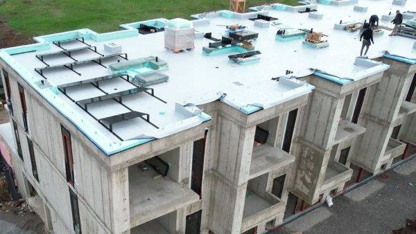 viber_image_2025-12-03_15-41-30-234